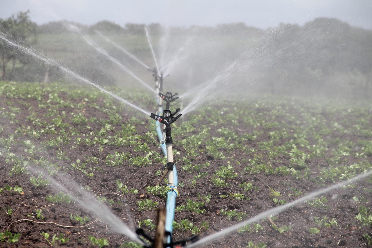 smart irrigation agriculture Africa